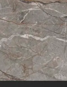 Silver Root yüzey görseli