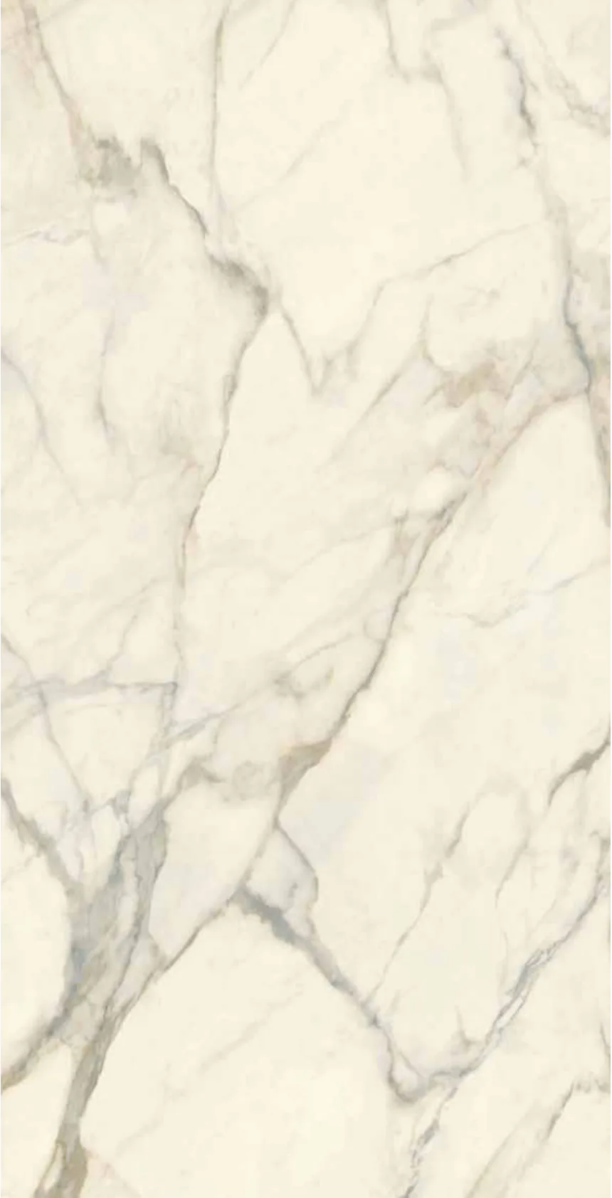 Calacatta Oro Vein